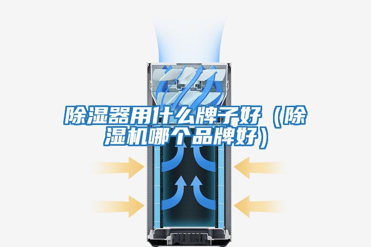 除濕器用什么牌子好(除濕機(jī)哪個(gè)品牌好)