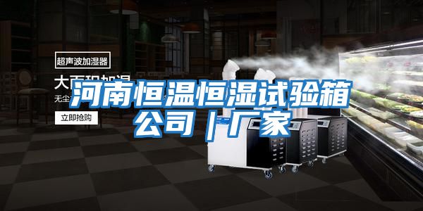 河南恒溫恒濕試驗(yàn)箱公司｜廠(chǎng)家
