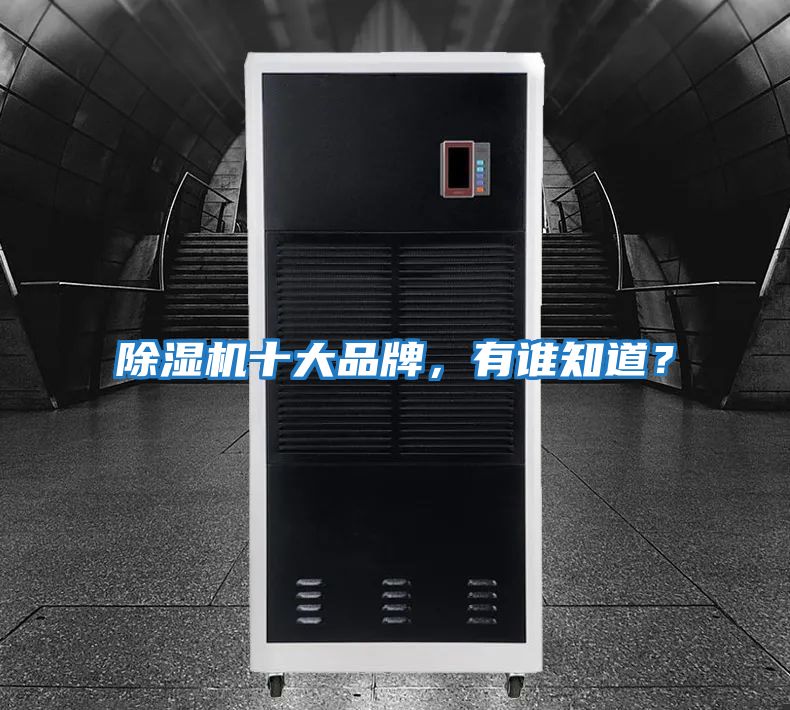 除濕機十大品牌，有誰知道？