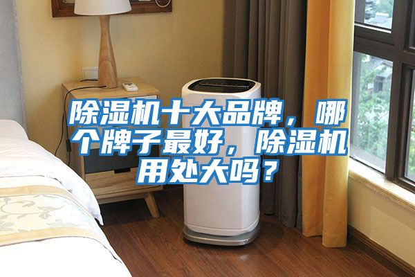 除濕機十大品牌，哪個牌子最好，除濕機用處大嗎？