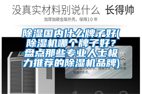 除濕國(guó)內(nèi)什么牌子好(除濕機(jī)哪個(gè)牌子好?盤點(diǎn)那些專業(yè)人士極力推薦的除濕機(jī)品牌)