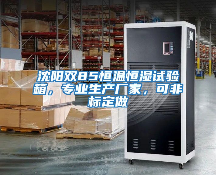 沈陽(yáng)雙85恒溫恒濕試驗(yàn)箱，專(zhuān)業(yè)生產(chǎn)廠家，可非標(biāo)定做