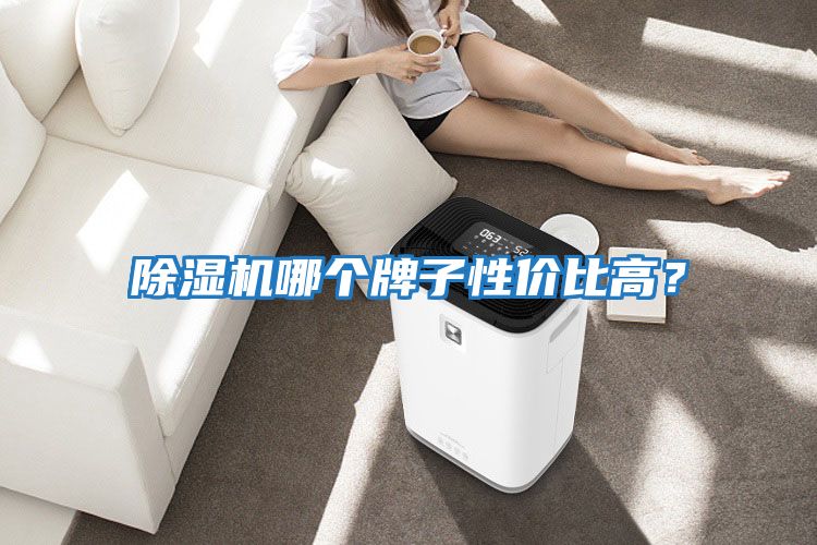 除濕機哪個牌子性價比高？