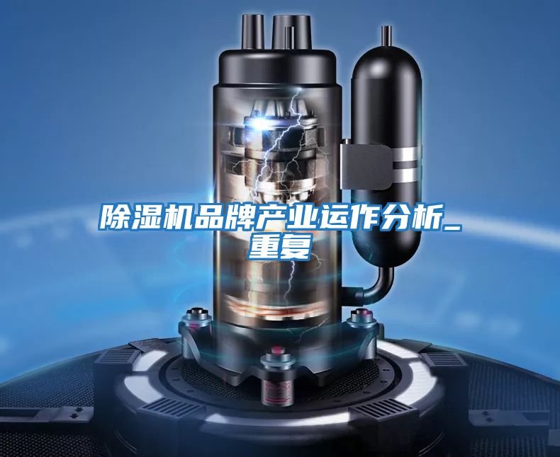 除濕機品牌產業(yè)運作分析_重復