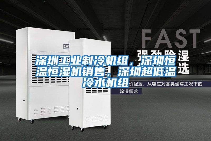 深圳工業(yè)制冷機組，深圳恒溫恒濕機銷售，深圳超低溫冷水機組