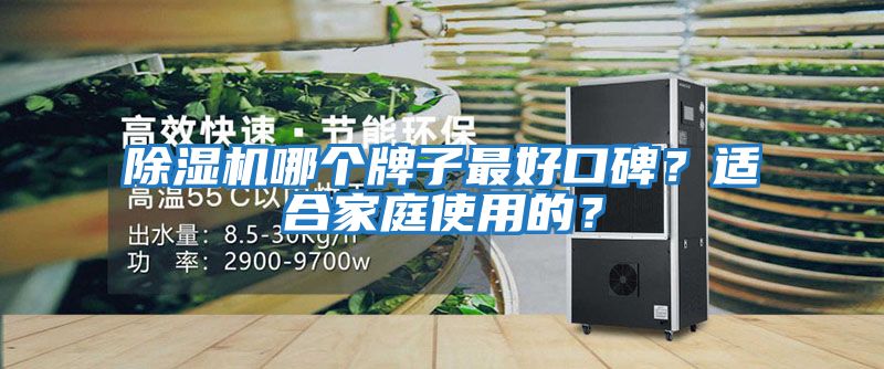 除濕機哪個牌子最好口碑？適合家庭使用的？