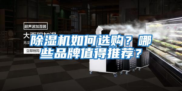 除濕機如何選購？哪些品牌值得推薦？