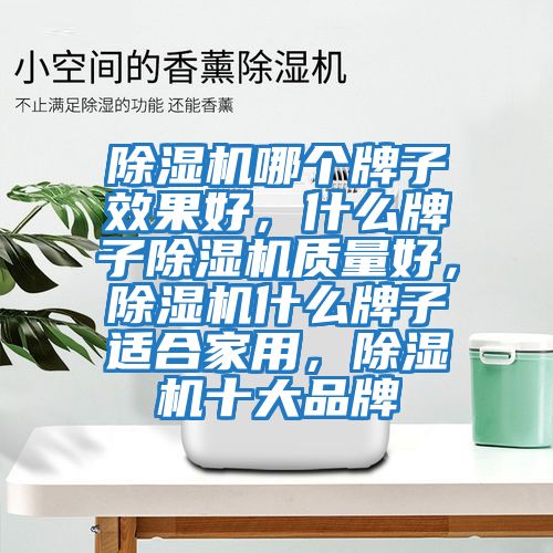 除濕機哪個牌子效果好，什么牌子除濕機質量好，除濕機什么牌子適合家用，除濕機十大品牌
