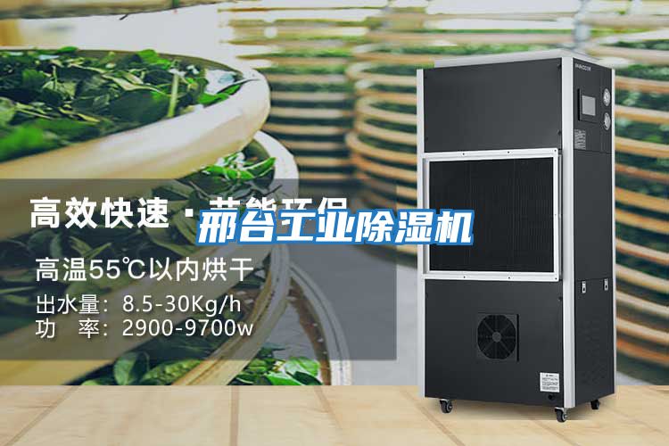 邢臺工業(yè)除濕機(jī)
