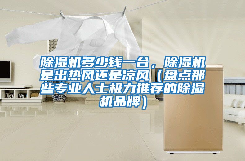 除濕機多少錢一臺，除濕機是出熱風還是涼風（盤點那些專業人士極力推薦的除濕機品牌）