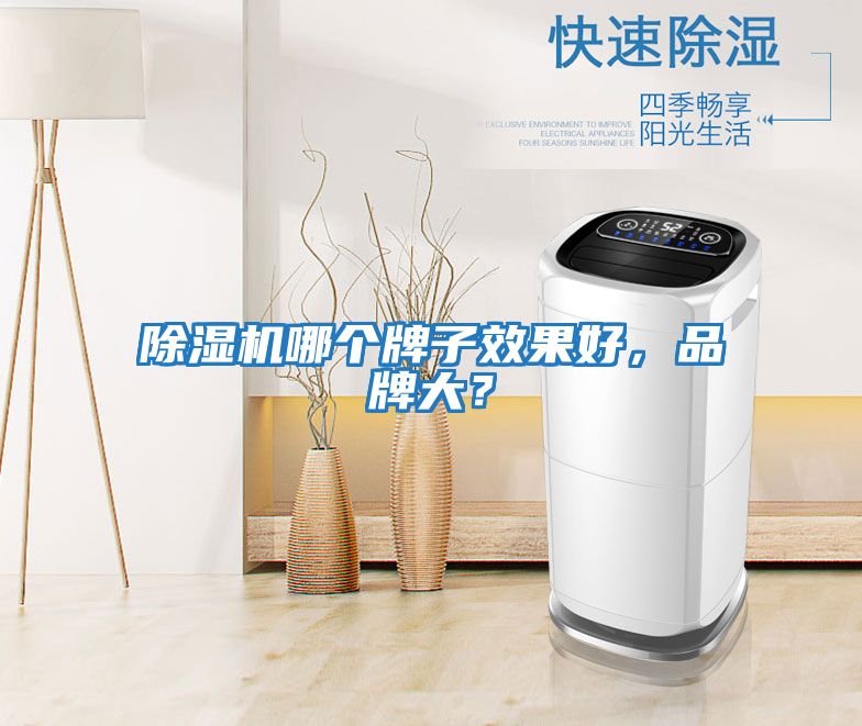 除濕機哪個牌子效果好,品牌大?