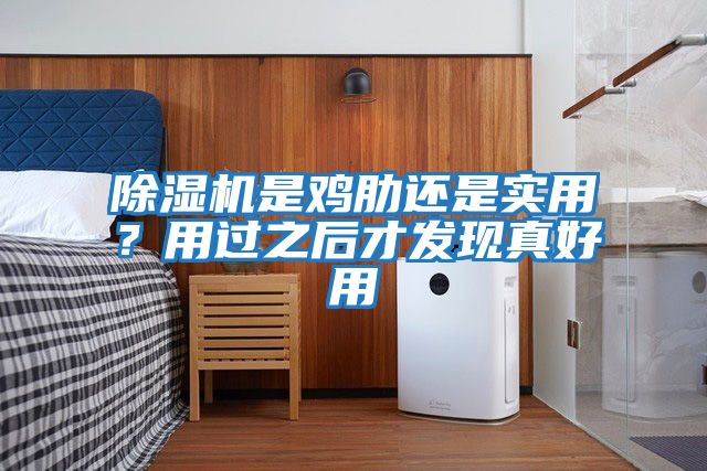 除濕機是雞肋還是實用?用過之后才發現真好用
