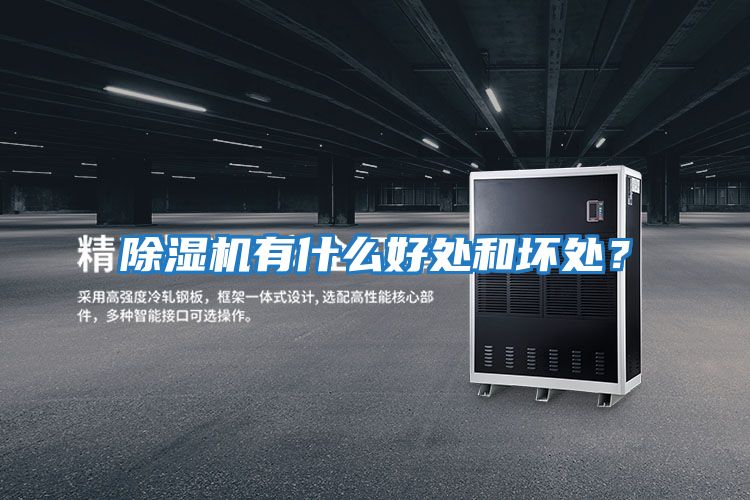 除濕機有什么好處和壞處？