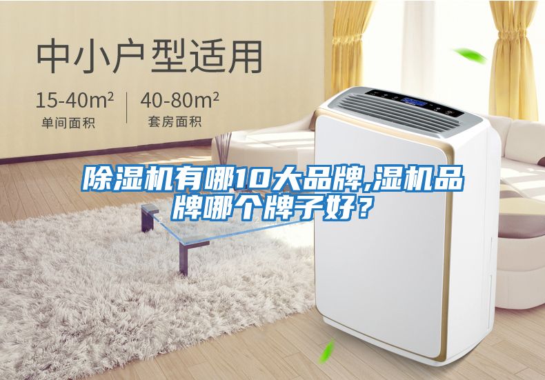 除濕機(jī)有哪10大品牌,濕機(jī)品牌哪個牌子好?