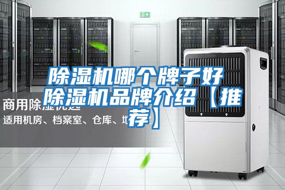除濕機(jī)哪個牌子好 除濕機(jī)品牌介紹【推薦】