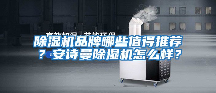除濕機品牌哪些值得推薦？安詩曼除濕機怎么樣？