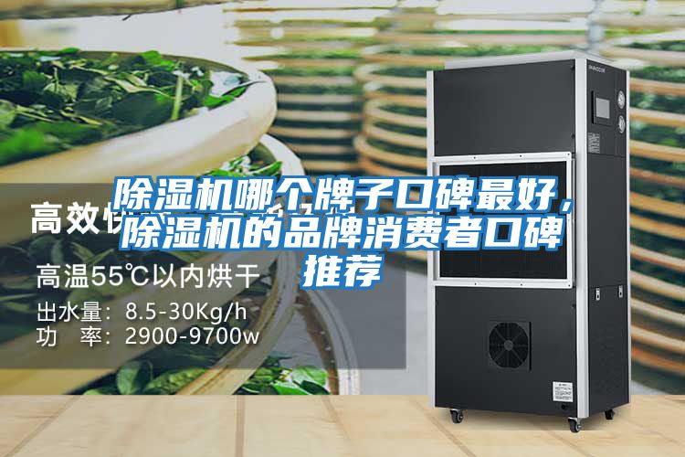 除濕機哪個牌子口碑最好，除濕機的品牌消費者口碑推薦