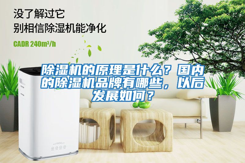 除濕機的原理是什么？國內的除濕機品牌有哪些，以后發展如何？