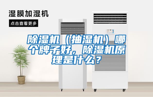 除濕機（抽濕機）哪個牌子好，除濕機原理是什么？
