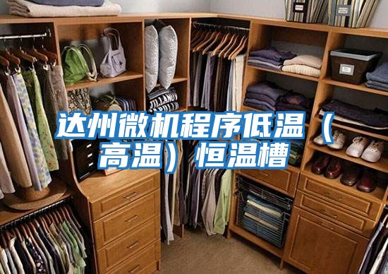 達(dá)州微機程序低溫(高溫)恒溫槽