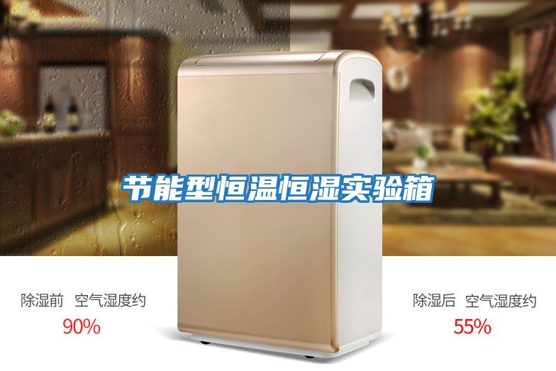 節(jié)能型恒溫恒濕實驗箱