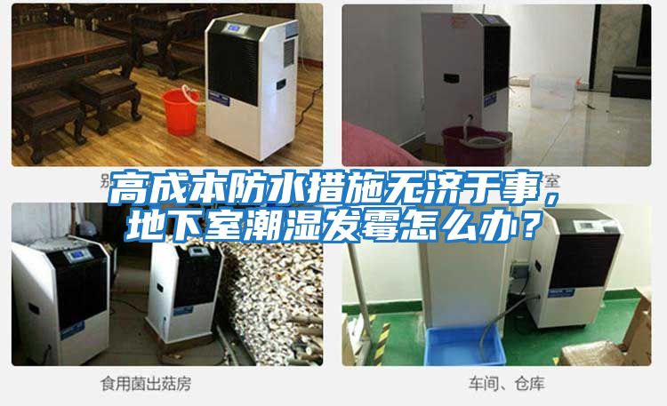 高成本防水措施無(wú)濟(jì)于事,地下室潮濕發(fā)霉怎么辦?