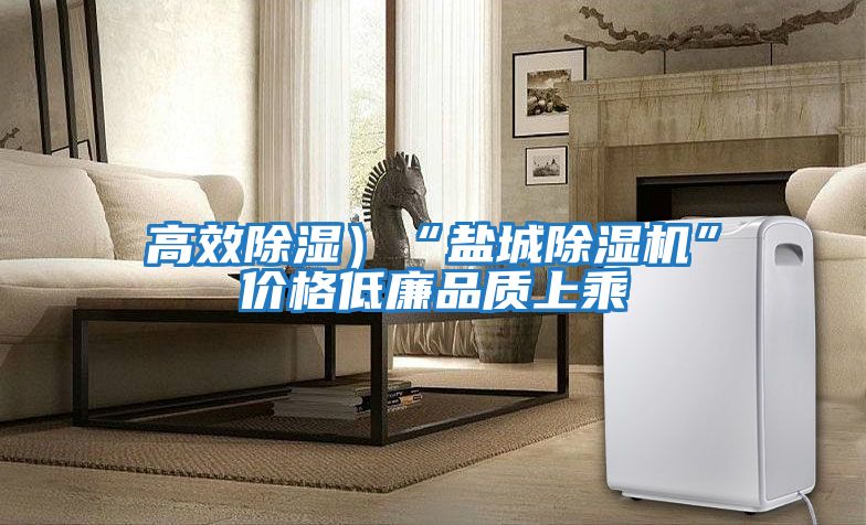 高效除濕)“鹽城除濕機(jī)”價(jià)格低廉品質(zhì)上乘