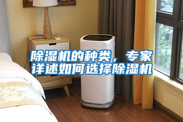 除濕機的種類,專家詳述如何選擇除濕機