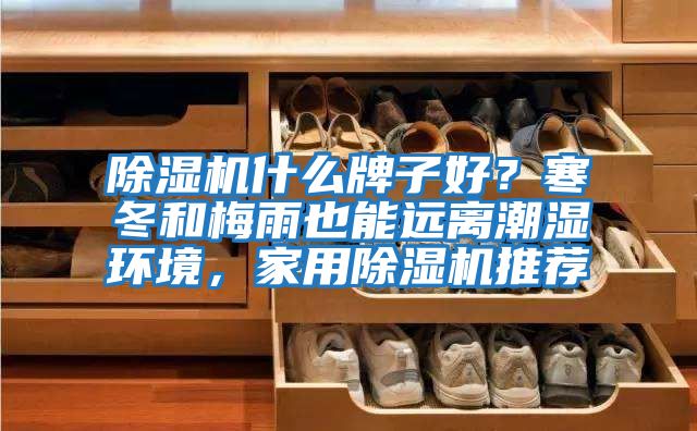 除濕機什么牌子好?寒冬和梅雨也能遠離潮濕環境,家用除濕機推薦