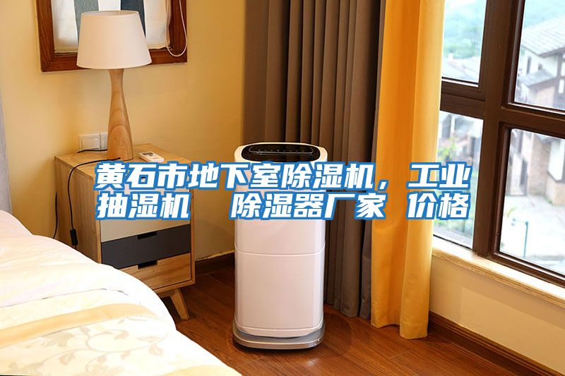 黃石市地下室除濕機,工業抽濕機 除濕器廠家 價格