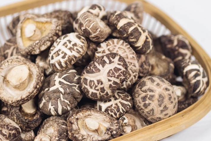 干貨倉庫怎么利用除濕機保持干爽？